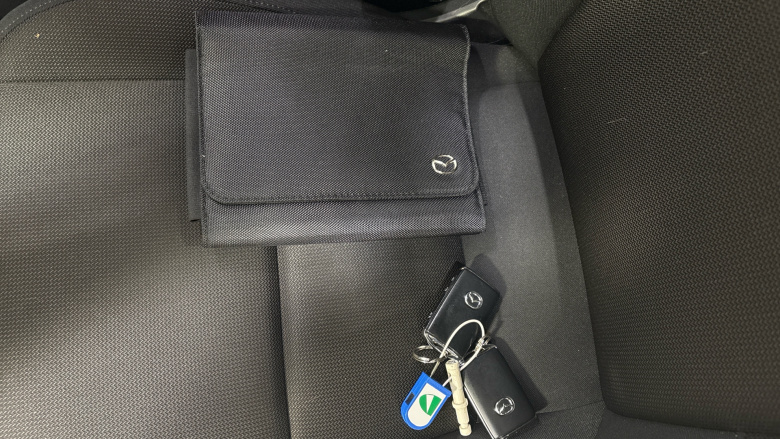 Mazda 3 2.0 Skyactiv G MHEV SE-L 5dr Petrol Hatchback